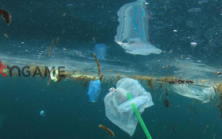 پاکسازی دریاهای جهان با باکتری‌های پلاستیک‌خوار – تی ام گیم