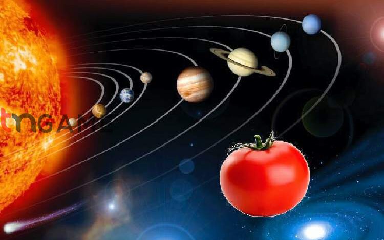 ناسا در فضا گوجه فرنگی می کارد – تی ام گیم