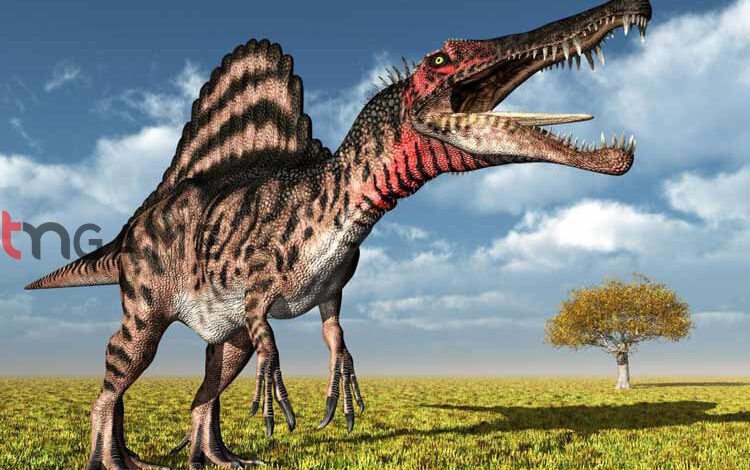 دانشمندان مغز بزرگ‌ترین دایناسور گوشت‌خوار را بازسازی کردند – تی ام گیم