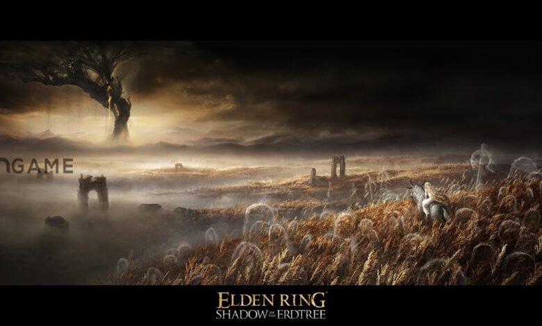 بسته الحاقی Shadow of the Erdtree بازی Elden Ring بیش از یک سال است که در دست ساخت قرار دارد – تی ام گیم
