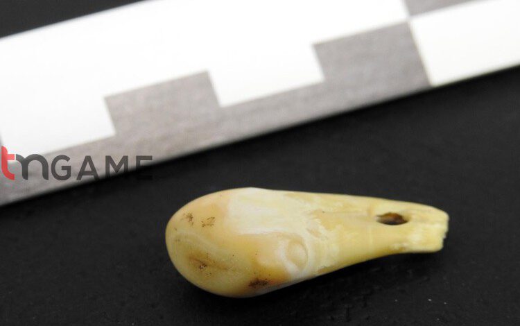 کشف دی‌ان‌ای باستانی انسان در گردنبند ۲۵۰۰ساله – تی ام گیم