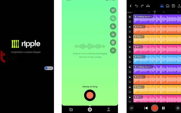 مالک تیک‌تاک، اپلیکیشن ایجاد موسیقی «ریپل» را معرفی کرد – تی ام گیم
