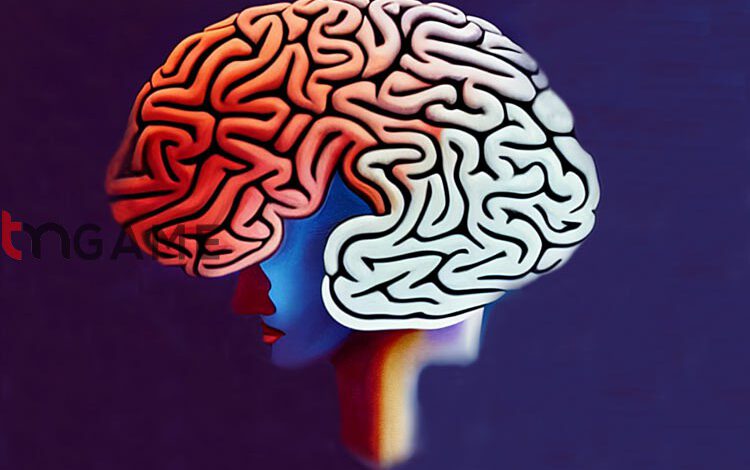 آیا واقعا از ۱۰ درصد مغز استفاده می‌کنیم؟ – تی ام گیم