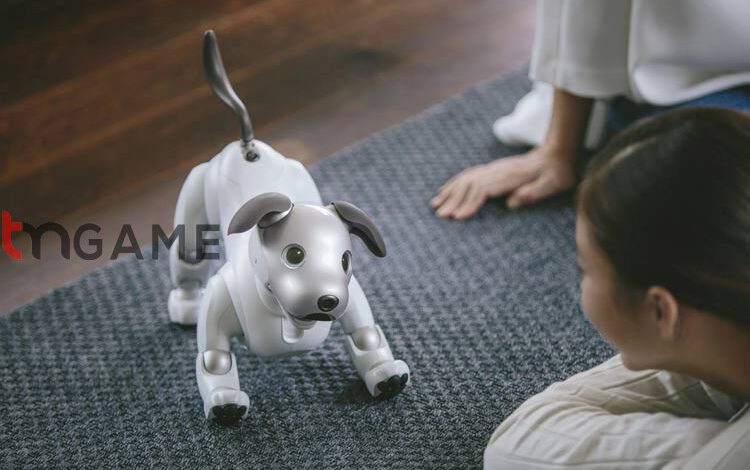 آیا ربات‌های مجهز به هوش مصنوعی جایگزین سگ و گربه خانگی می‌شوند؟ – تی ام گیم