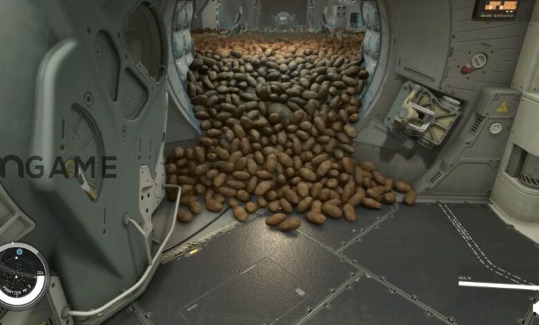 یک بازیکن Starfield کابین خلبانی خود را با ۲۰,۰۰۰ سیب زمینی پر کرد – تی ام گیم